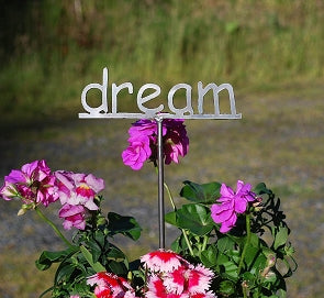 words for plant pots Winfield Designs Flower Pot 1.5" Words – Wind River