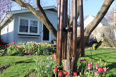 Make Space for Harmony: Capture the Spirit of Spring