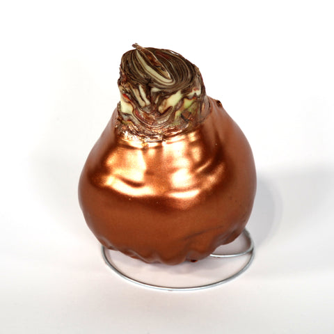 Holiday Harmony Gift Box - Wind River