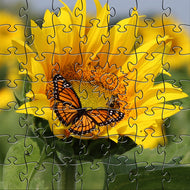 Zen Puzzles Wooden Jigsaw Puzzle - Sunflower