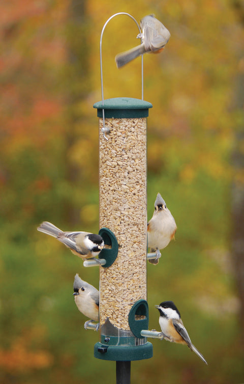 Aspects® Seed Tube Feeder - Spruce - Wind River