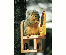 Songbird Essentials Squirrel Feeder - Chair - Wind River