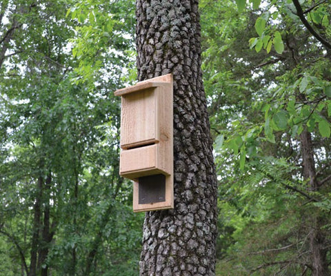 Songbird Essentials Mini Bat Tower House - Wind River